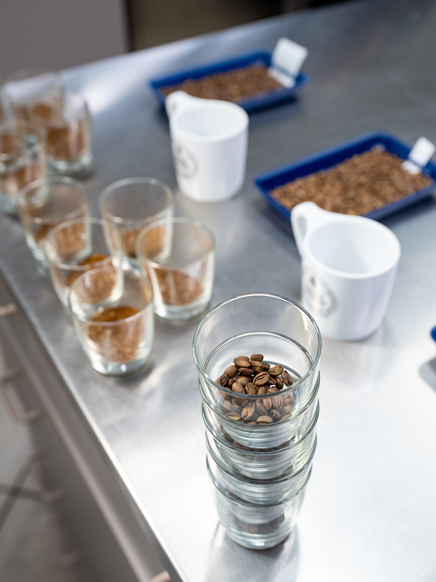 Koffeinfreien Kaffee kaufen Swiss Water