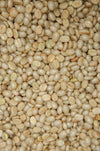 Bio Fair Trade Kaffee Fermentation