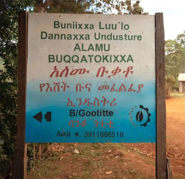 Banko Gotiti Washing Station