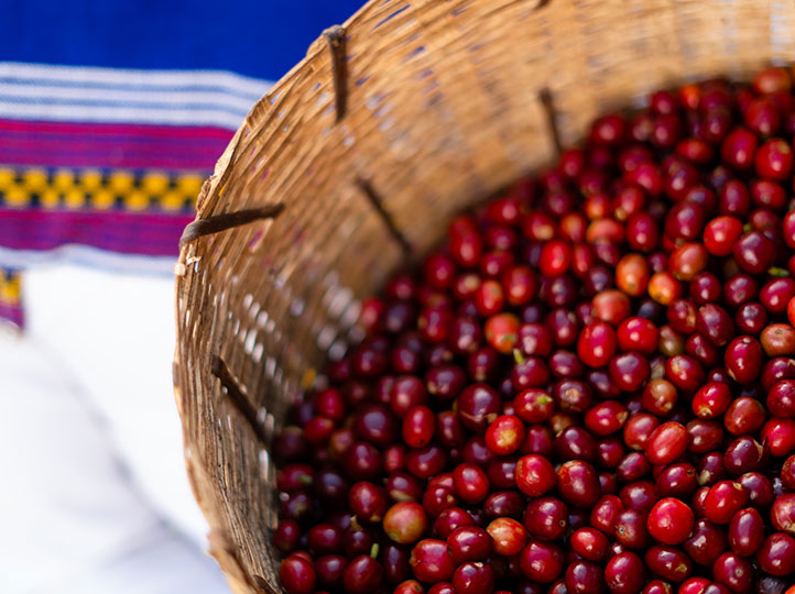 Ethiopie - Guji Anasora / Café filtre