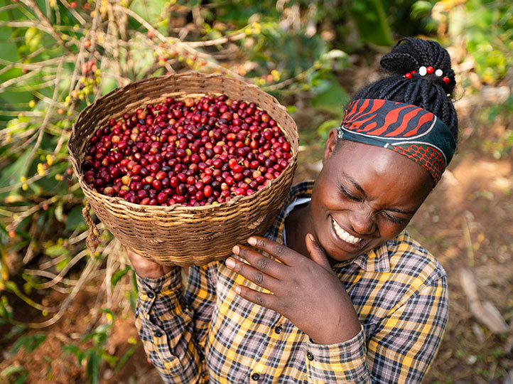 Ethiopie - Guji Anasora / Café filtre