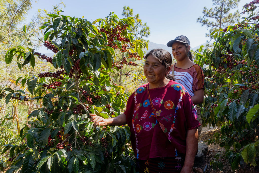 Zwei der 124 weiblichen Produzentinnen der Comal Kooperative in Huehuetenango