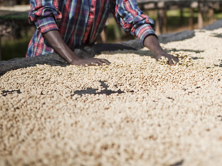 Trocknen der Kaffeebohnen Äthiopien