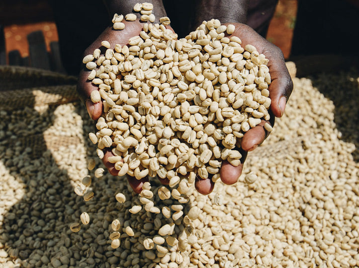 Gewaschener Kaffee Äthiopien