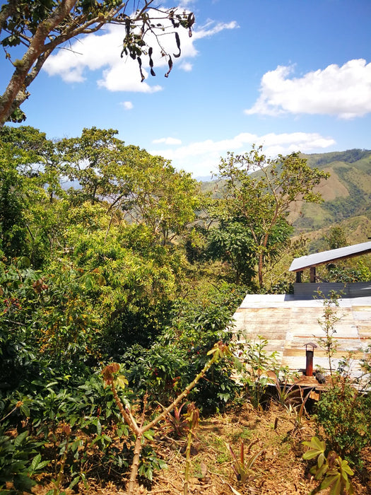 Bio Kaffeefarm in Peru