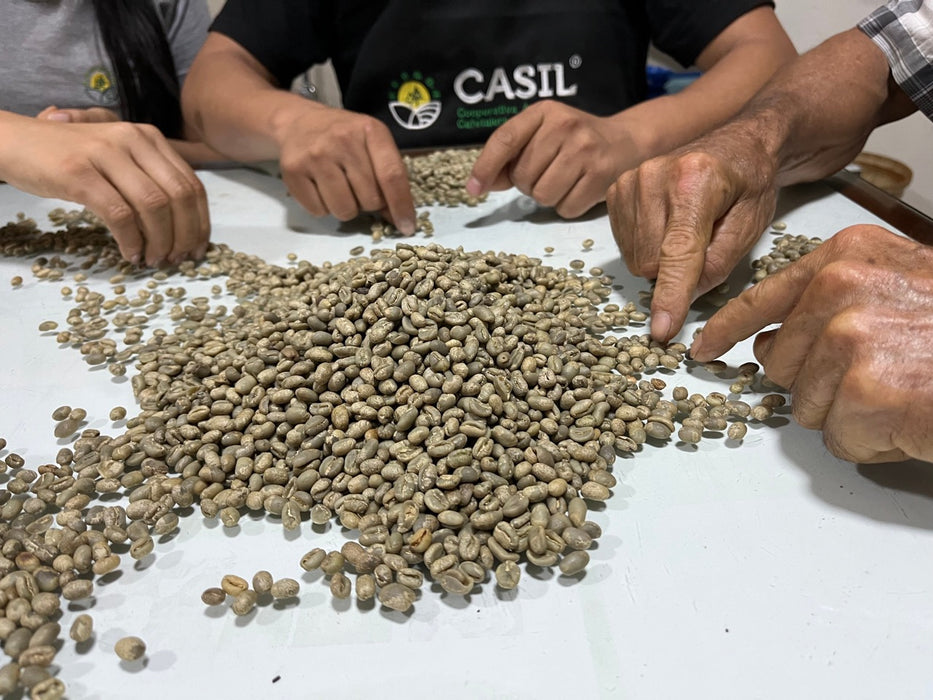 Grünkaffee sortieren