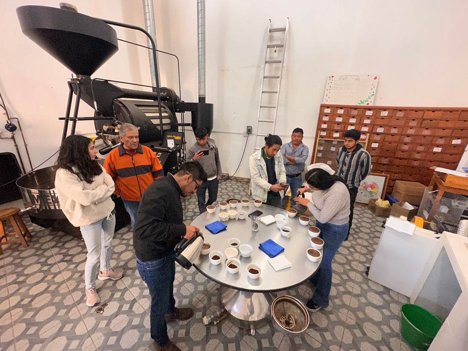 Cupping der neuen Kaffeerrnte bei Majomut