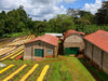 Kaffeefarm Kakindu Estate Kenia