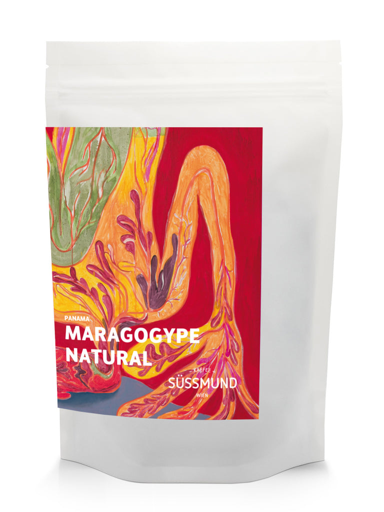 Photo of Colombie - Midnight Bloom Commerce Direct