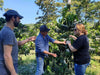 Nikolaus, Allan and Elke Hartmann at a coffee tree