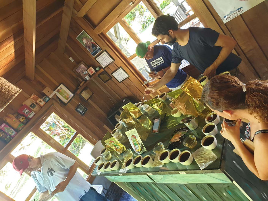 Cupping Coffee at Finca Hartmann with Family Hartmann