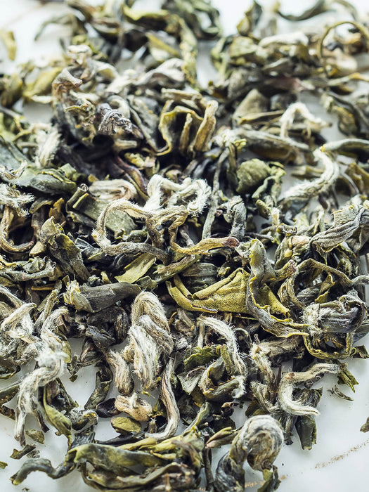 Grünen Tee aus China kaufen