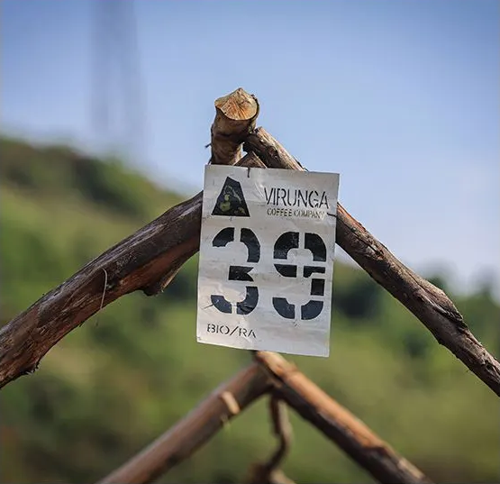 Bio Kaffee von Virunga Coffee