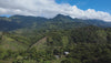 Kaffeeanbau in der Sierra in Chiapas
