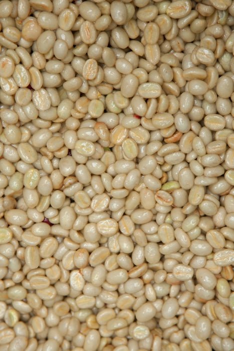 Bio Fair Trade Kaffee Fermentation