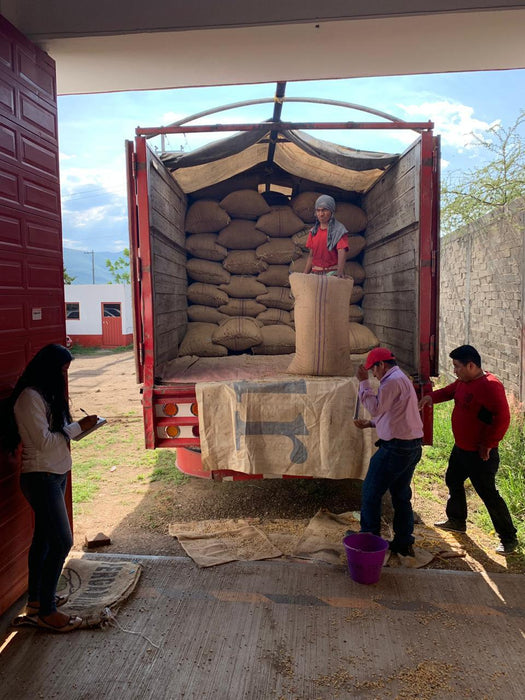 Export von Bio Fairtrade Kaffee aus Mexiko