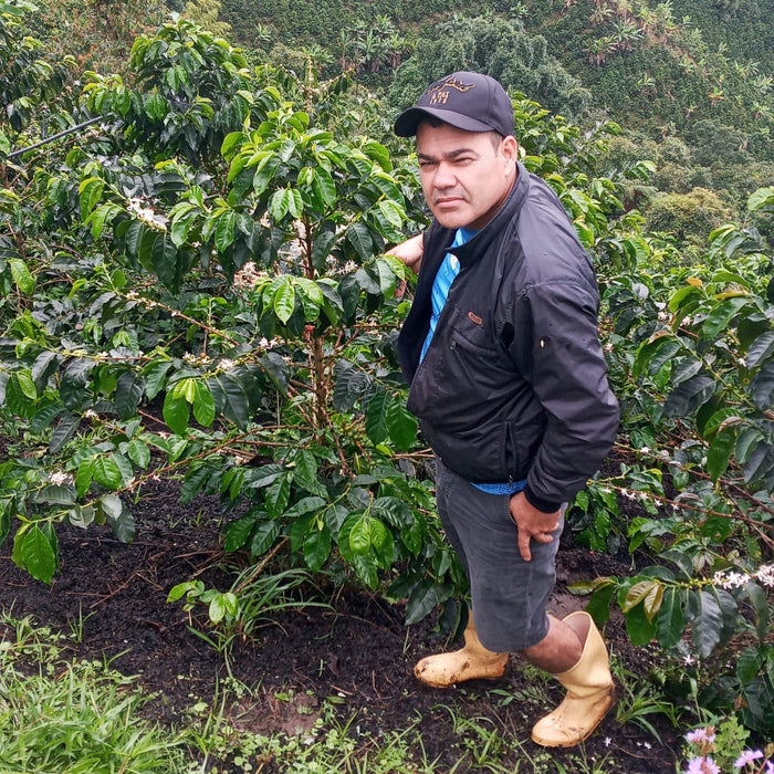 Specialty Coffee Kolumbien Anaerobic Natural